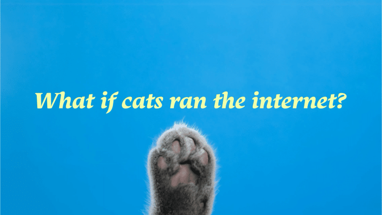 Cablelynx_24_videoStills_b