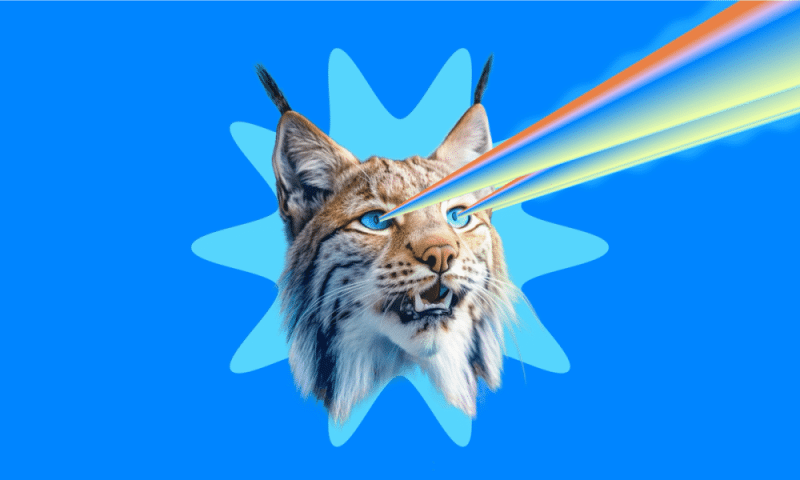 Cablelynx cat graphic